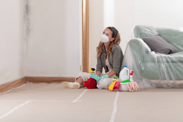 Reliable Black Mold Removal contractor in Auburn, NY by WQB Mold Removal
